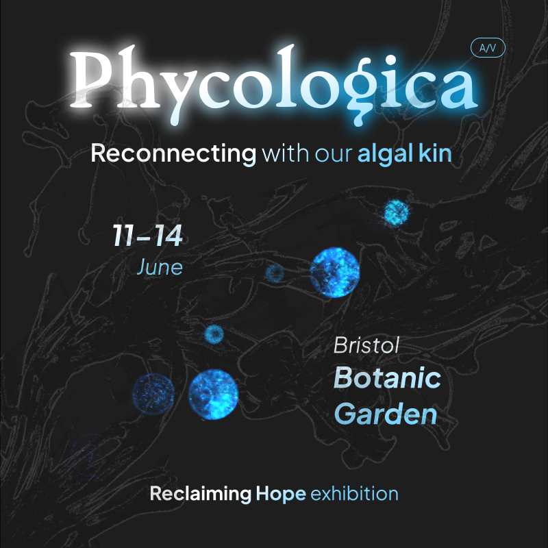 Digital edition at the Bristol Botanic Gardens