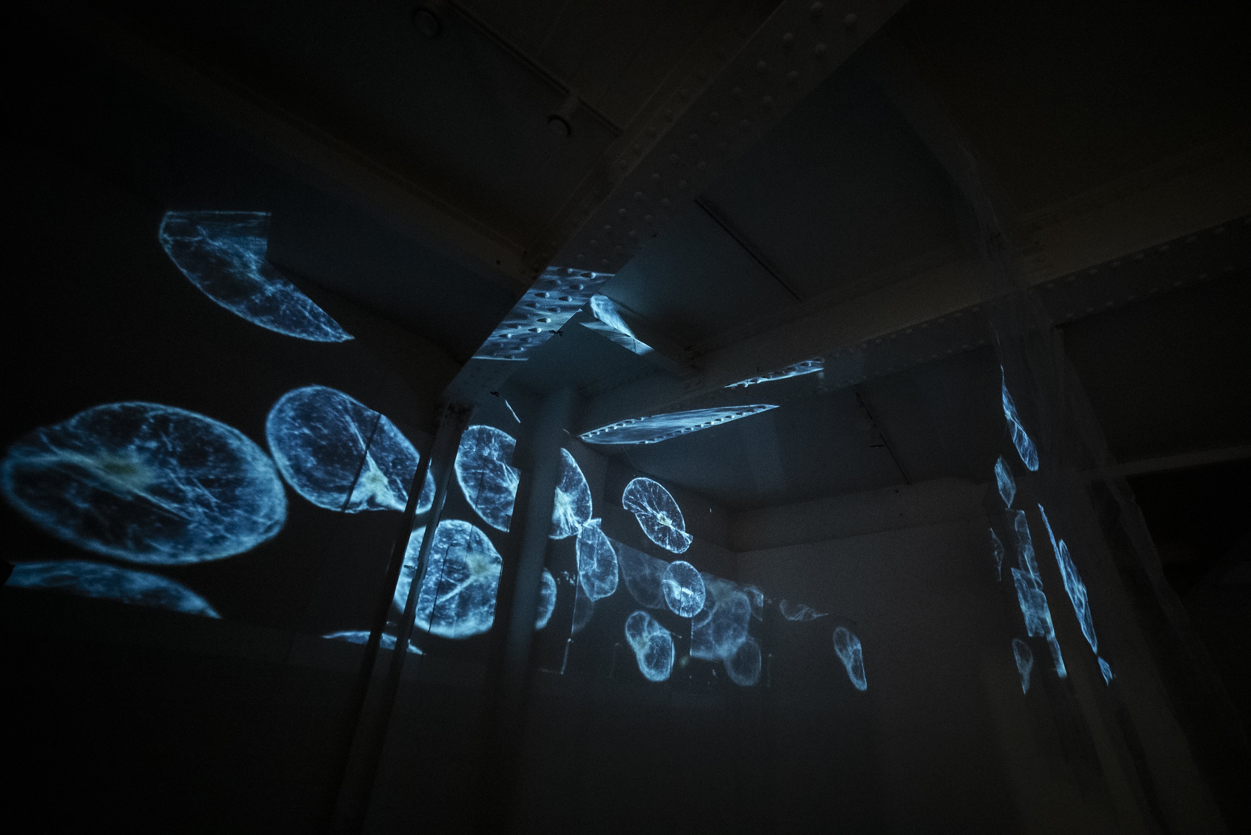 The living algae array