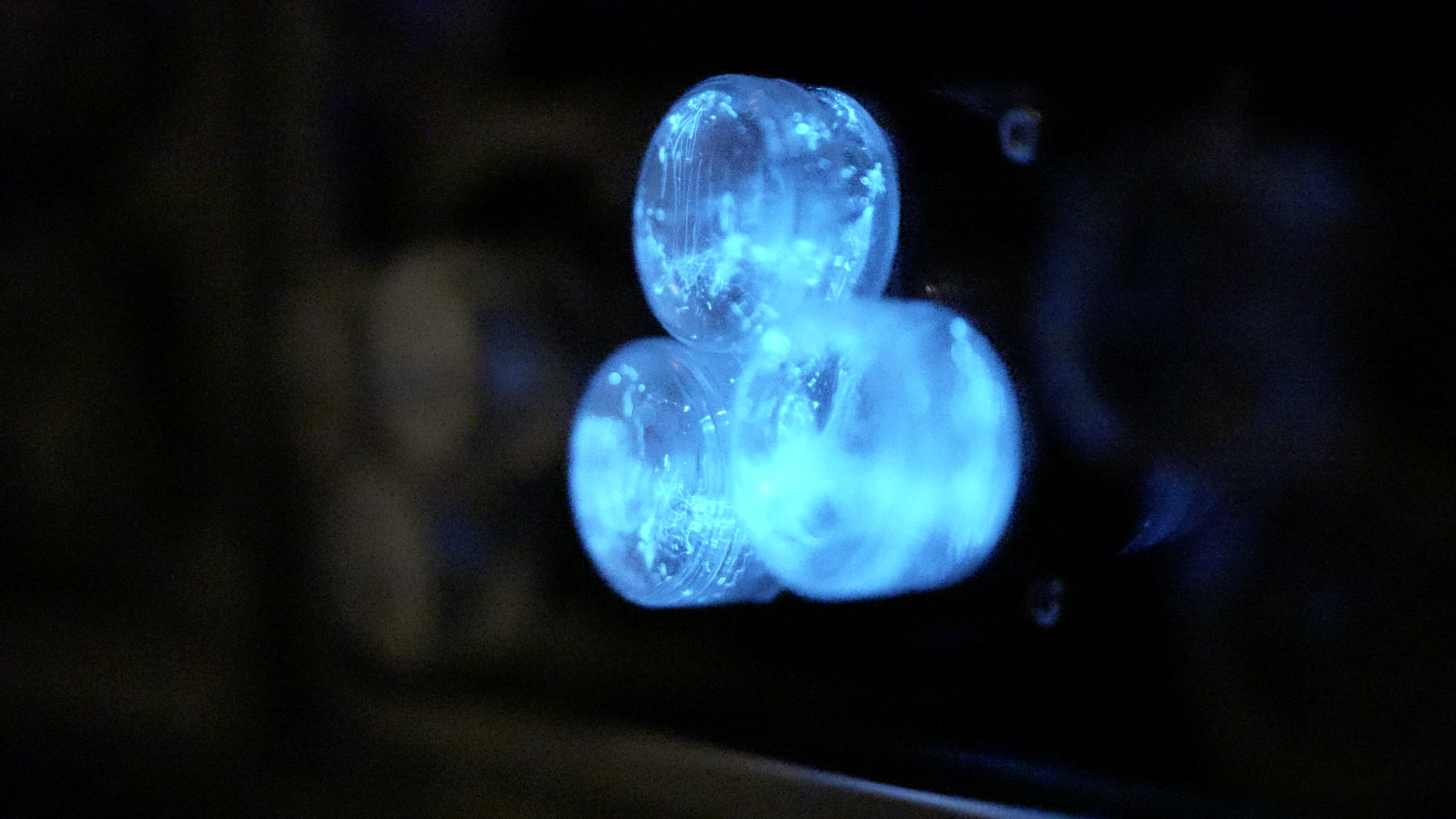 Light moving through the array