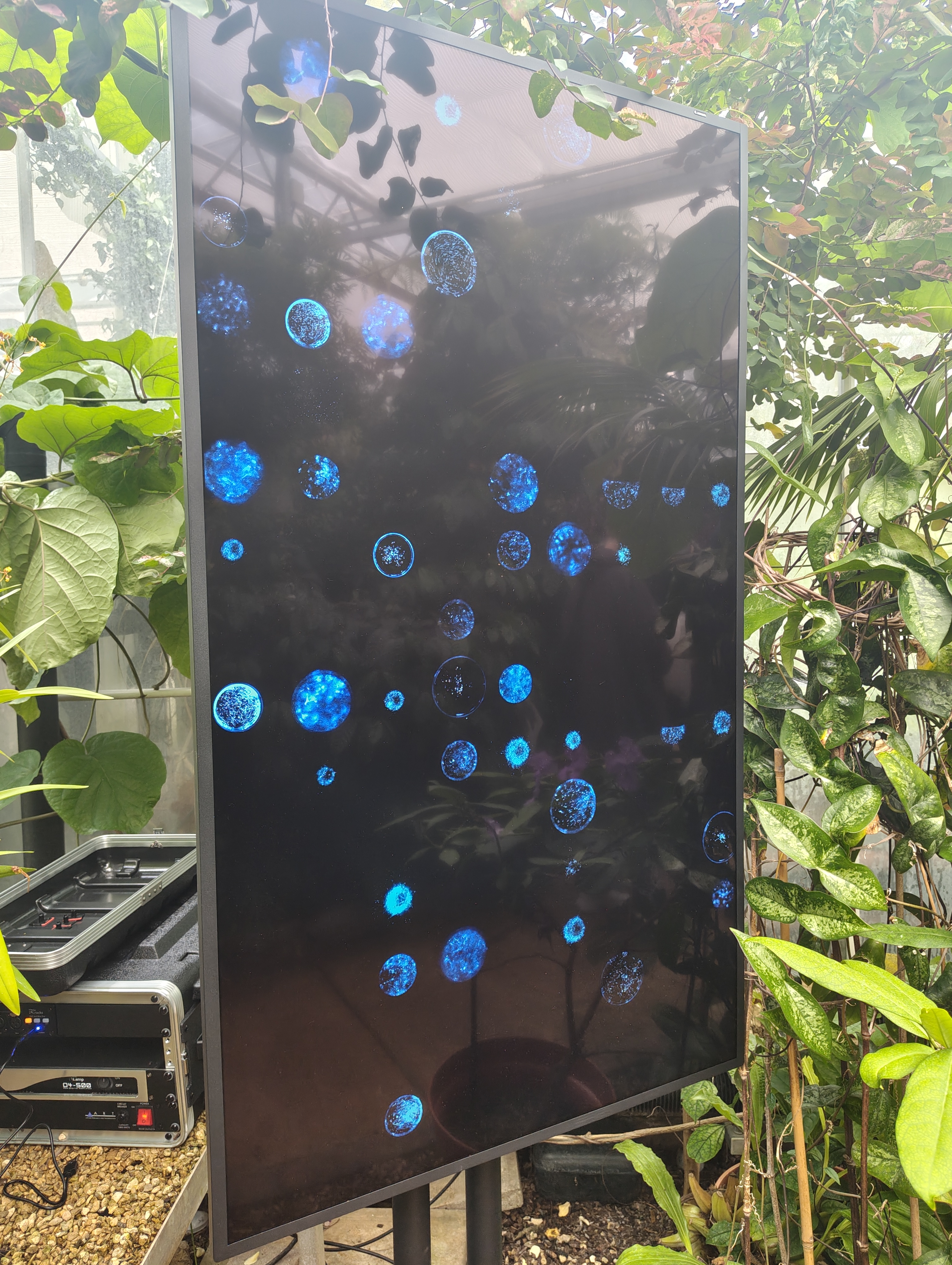 Visitors encountering the work