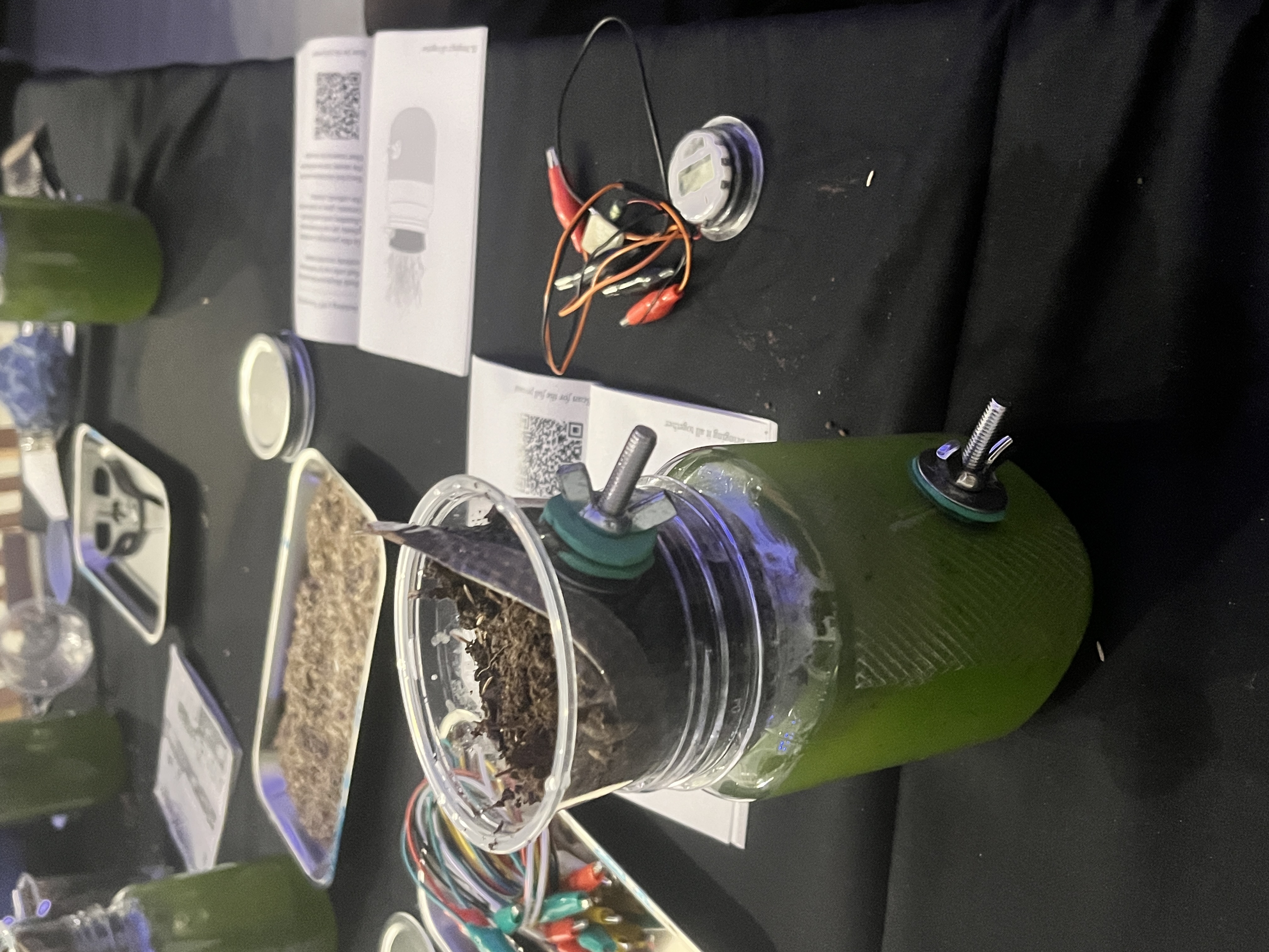Working directly with the algae