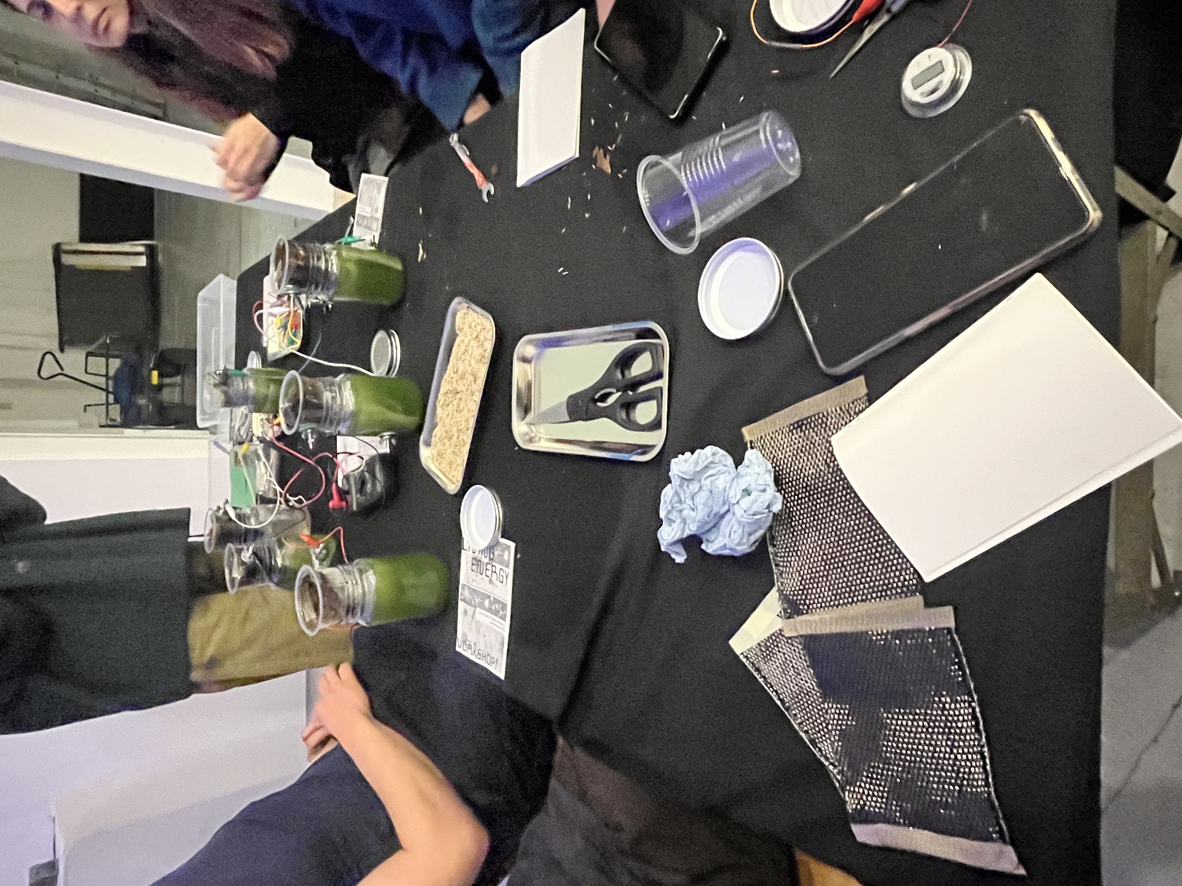 Culturing and observation